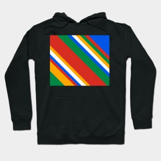 Magnificent Slanting Stripes Hoodie